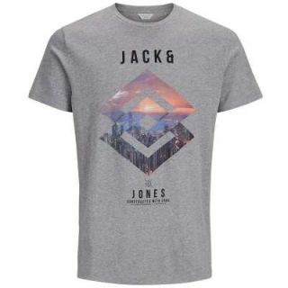JACK & JONES Herren und Jungen Printshirt jcoSPRING-FEE