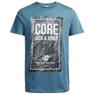 Jack & Jones Herren Printshirt jcoNERO-OTTO in acht Far
