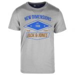 JACK & JONES Herren T-Shirt Jcotruth Sommer Baumwolle Print Rundhals Slim Fit Hellgrau