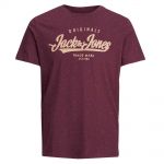 JACK & JONES Herren T-Shirt Jorautumn Sommer Baumwolle Print Rundhals Slim Fit Weinrot
