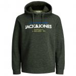 Jack & Jones Herren Kapuzenpullover Hoodie Jcojacob Gr�n