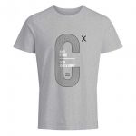 JACK & JONES Herren T-Shirt Jcolucas Sommer Baumwolle Print Rundhals Slim Fit Grau