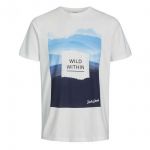 JACK & JONES Herren T-Shirt Jorwaterr Sommer Baumwolle Print Rundhals Slim Fit Wei�