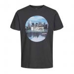 JACK & JONES Herren T-Shirt Jorwaterr Sommer Baumwolle Print Rundhals Slim Fit Grau