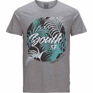 JACK & JONES Herren T-Shirt Jorspring 3 Sommer Baumwolle Print Rundhals Slim Fit Grau