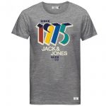 JACK & JONES Herren T-Shirt Jornew Captain Sommer Baumwolle Rundhals Slim Fit Hellgrau
