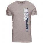 JACK & JONES Herren T-Shirt Jcofaster 4 Sommer Baumwolle Print Rundhals Slim Fit Grau