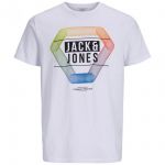 JACK & JONES Herren T-Shirt Jcospring-Feeling Sommer Baumwolle Print Regular Fit Wei� Print Orange