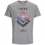JACK & JONES Herren T-Shirt Jcospring-Feeling Sommer Baumwolle Print Regular Fit Grau Print JACK