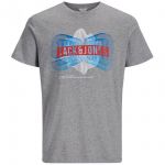 JACK & JONES Herren T-Shirt Jcospring-Feeling Sommer Baumwolle Print Regular Fit Grau Print Blau