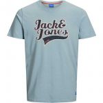 JACK & JONES Herren T-Shirt Joraydon Print Sommer Rundhals Kurzarm Regular Fit Hellblau