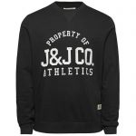 Jack & Jones Herren Sweatshirt Jorglarry Sweat Crew Neck Pirate Black (helles Schwarz)